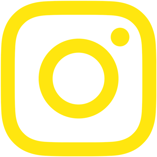 IG icon